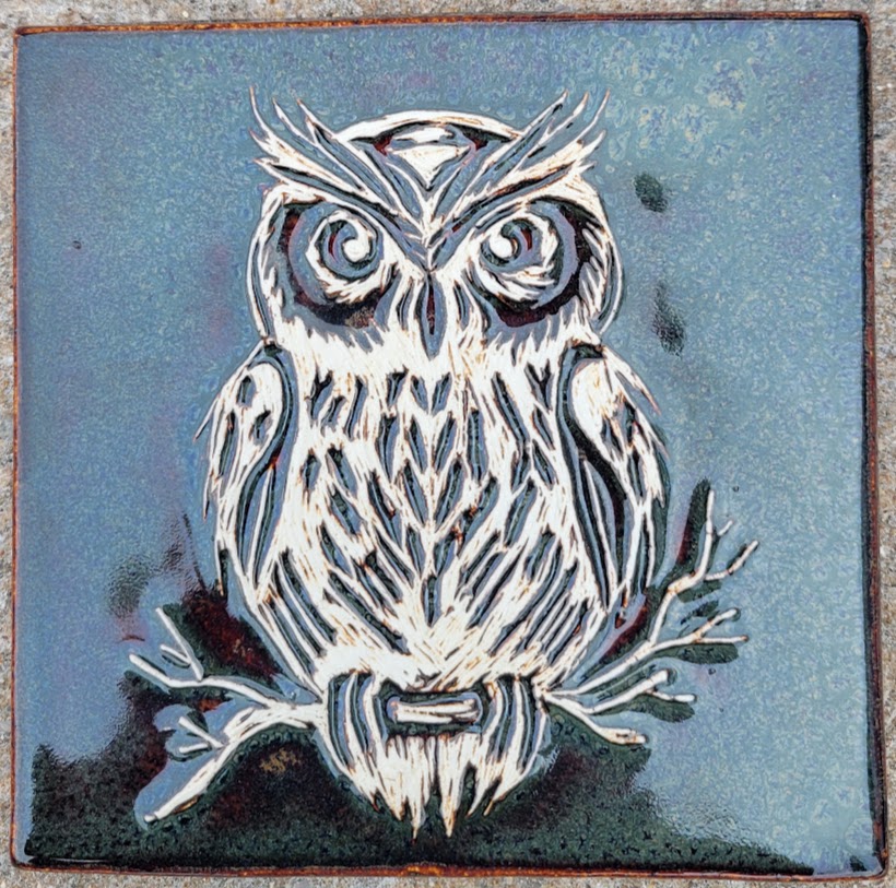 6x6 Owl
