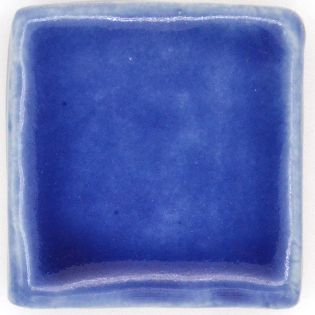 Blue Field Tile