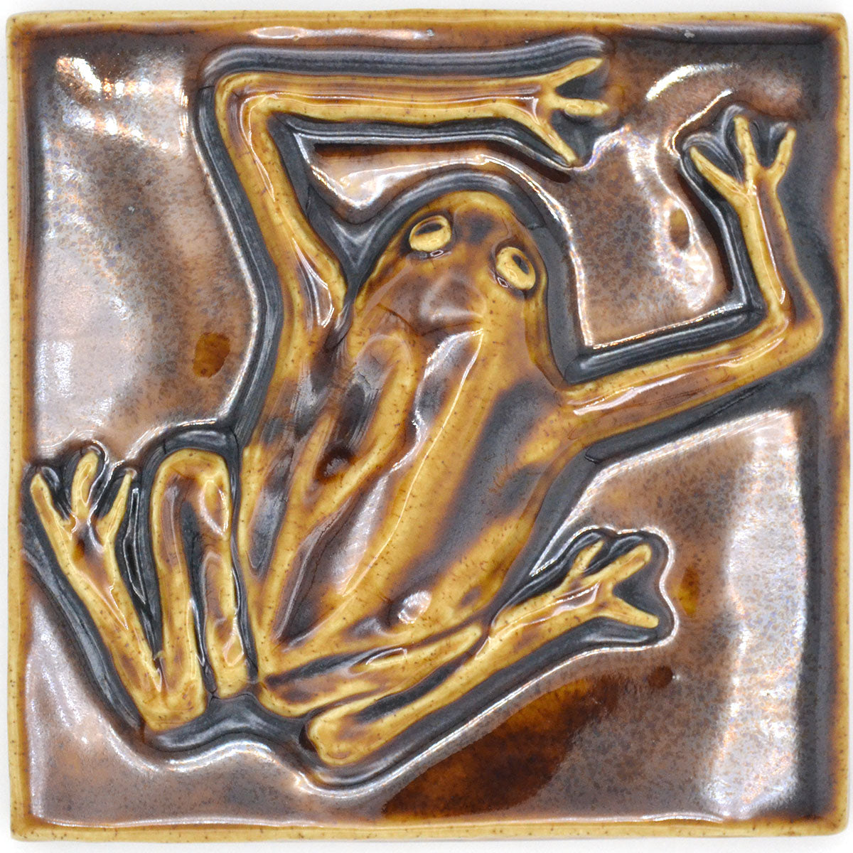 6x6 amber frog