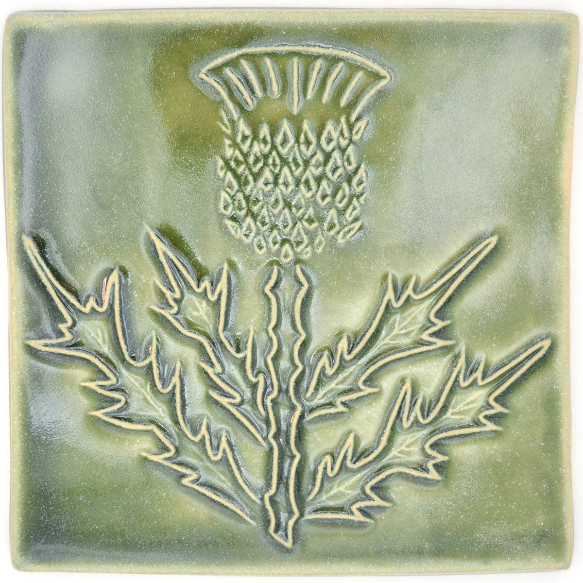 6x6 Thistle