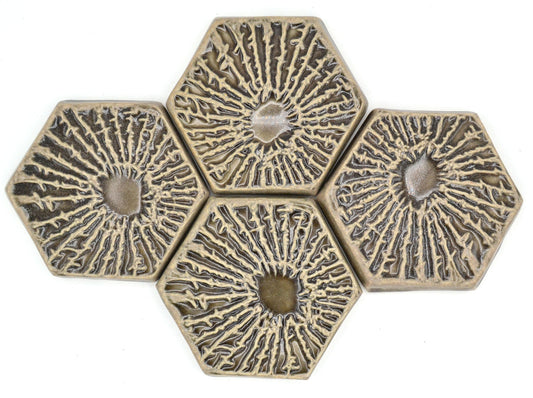 Petoskey Stone Eye