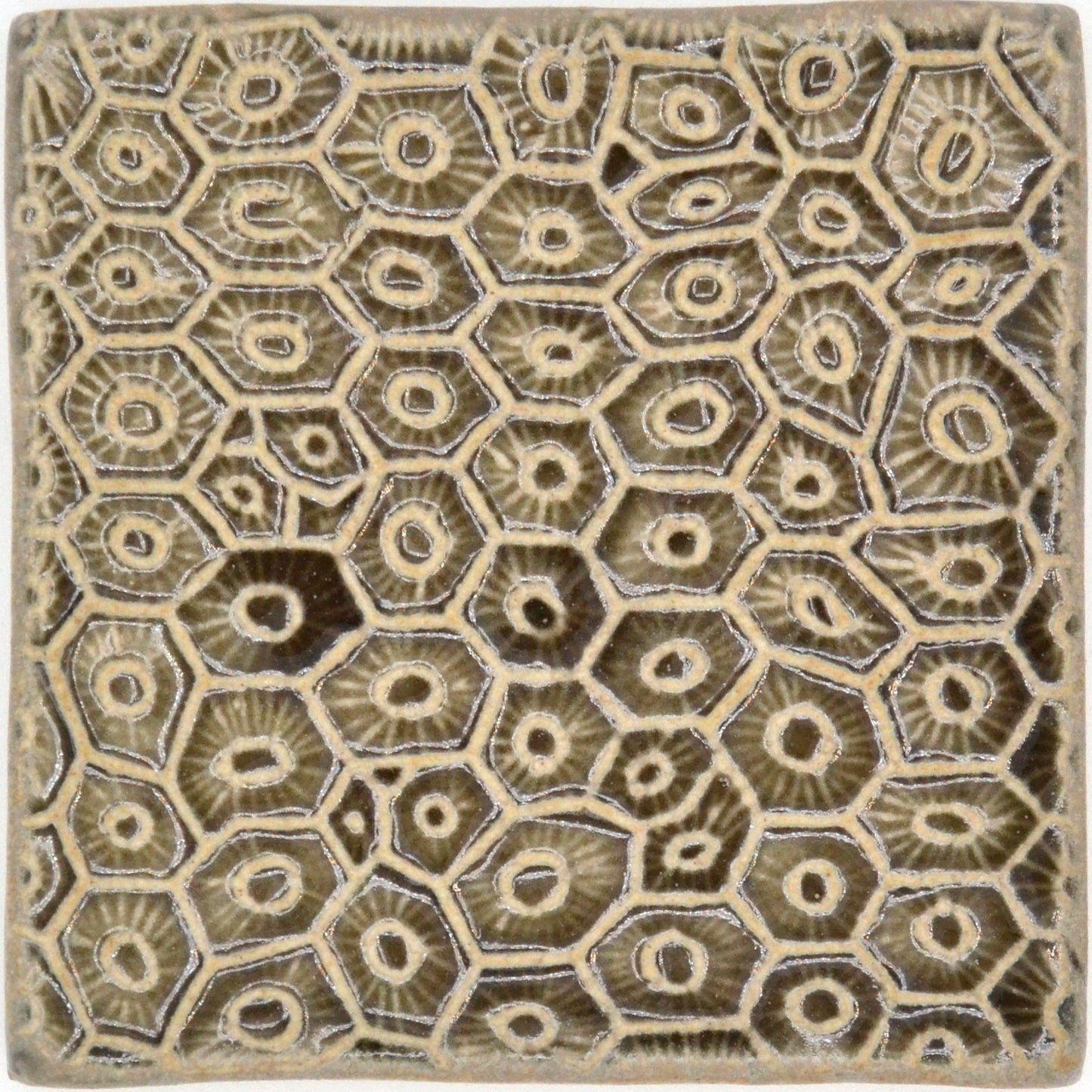 4x4 petoskey stone tile