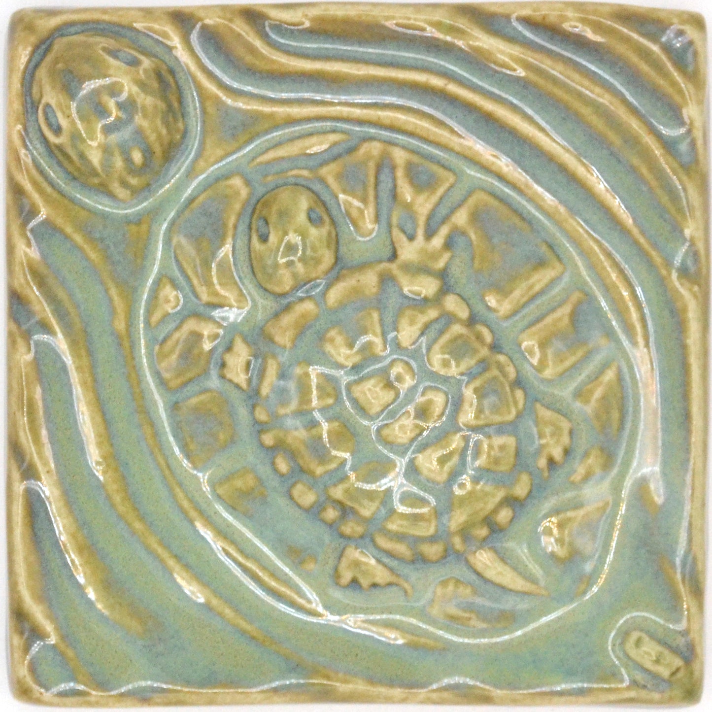 4x4 turtles tile turquoise