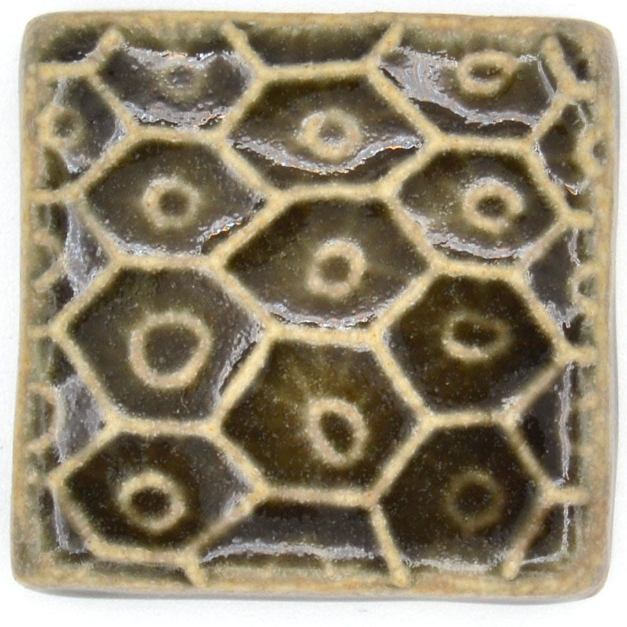 2x2 petoskey stone tile