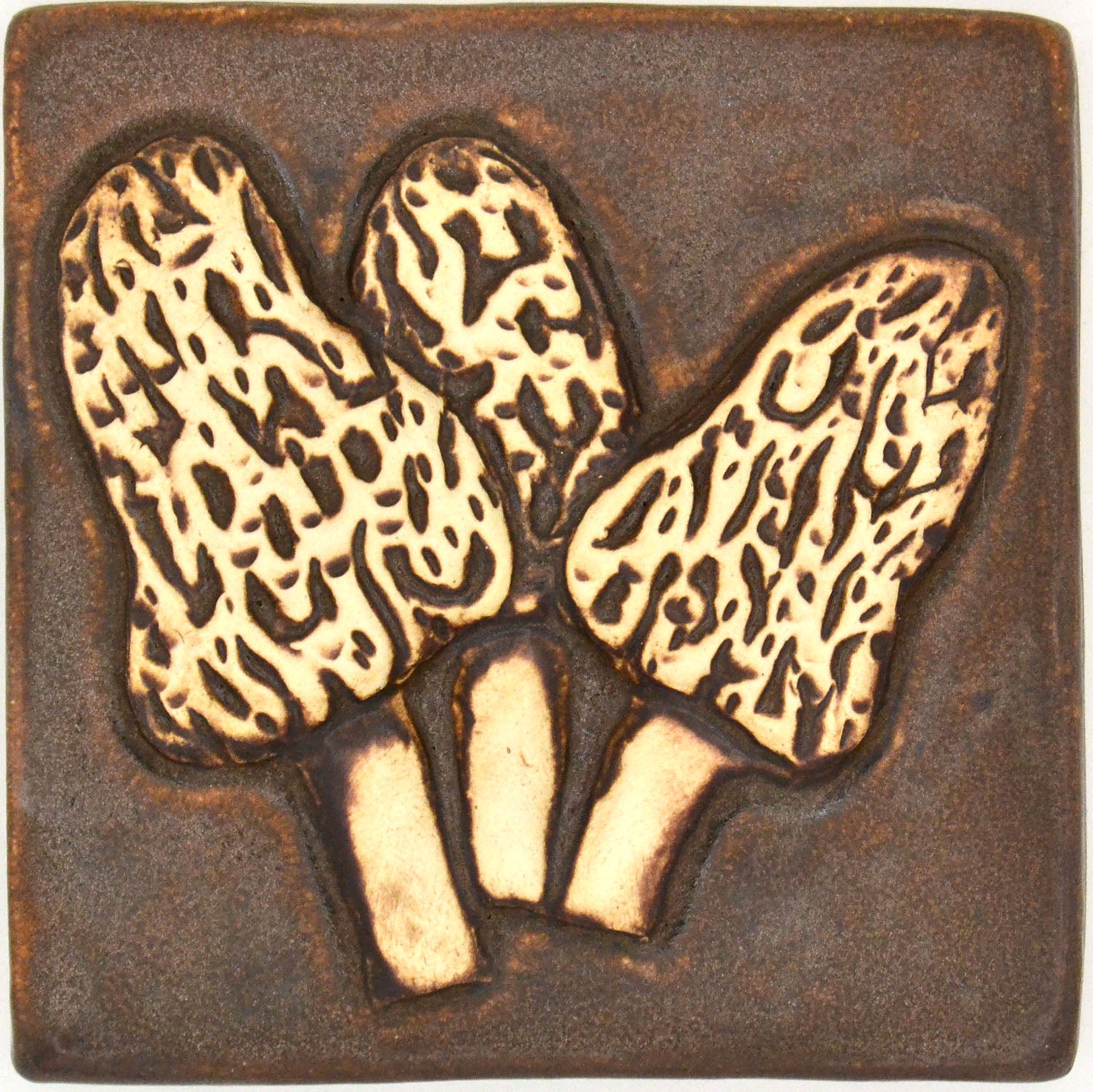 4x4 morel mushroom tile in brown