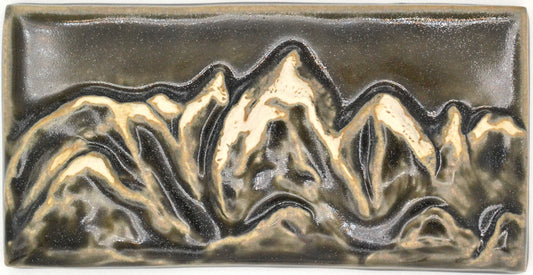 4x8 petoskey stone mountains tile