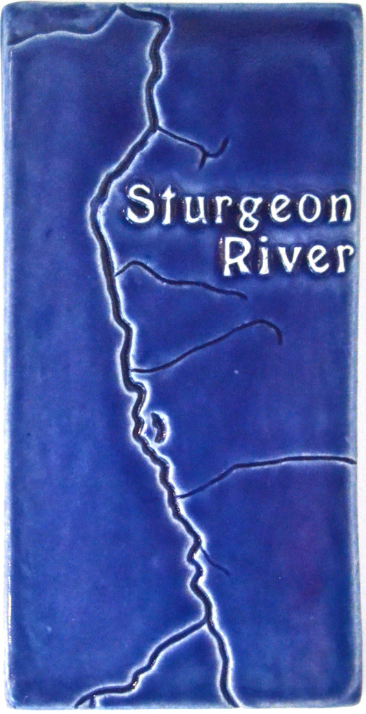 4x8 sturgeon river tile blue