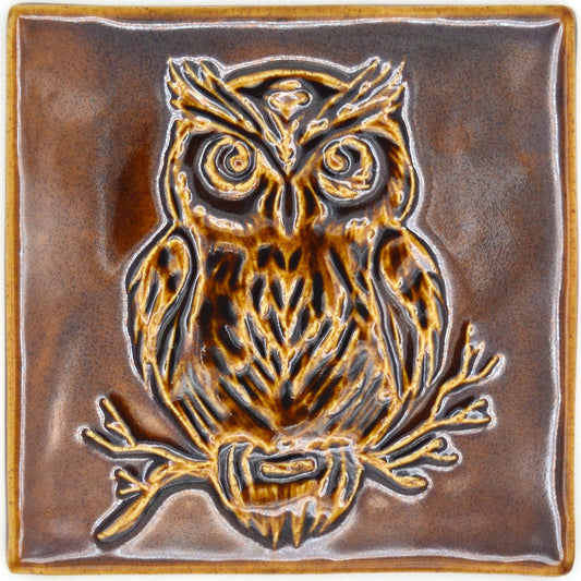 6x6 Amber Owl