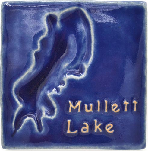 4x4 Mullett Lake