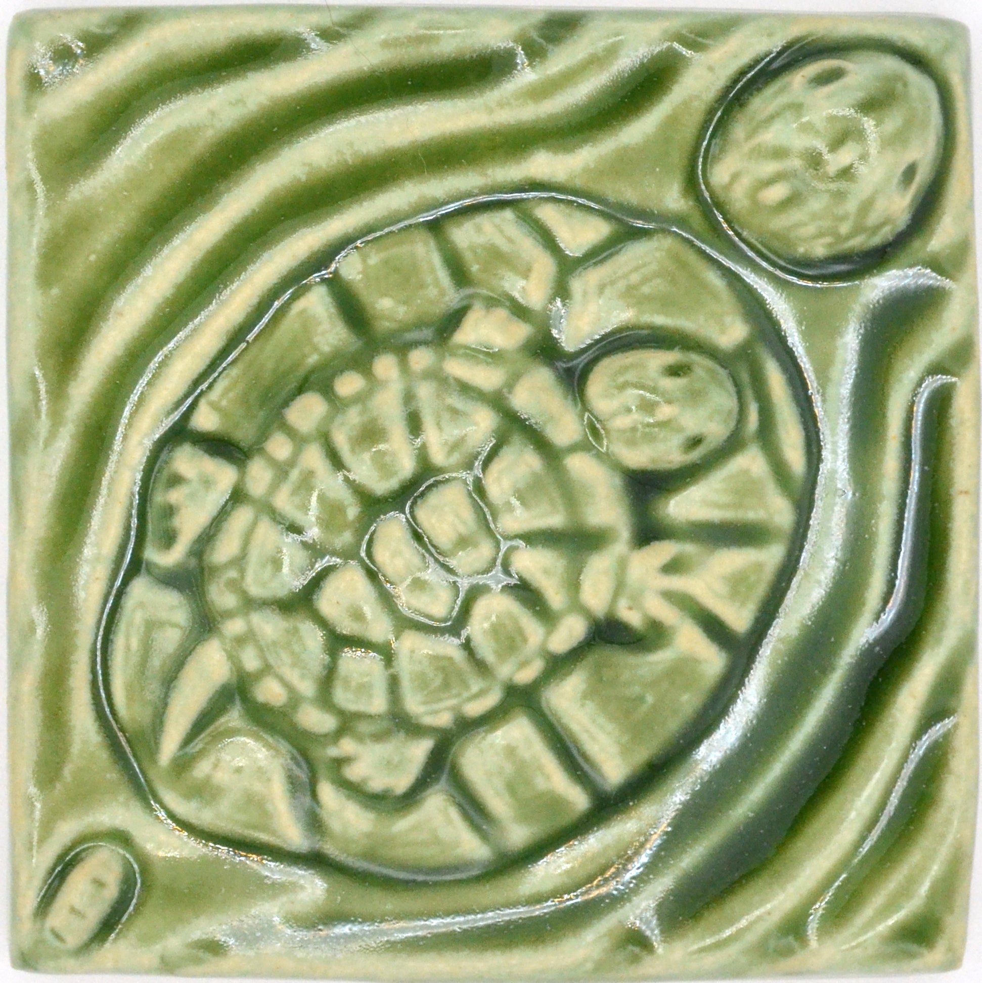 4x4 turtles tile green