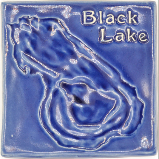 6x6 black lake tile