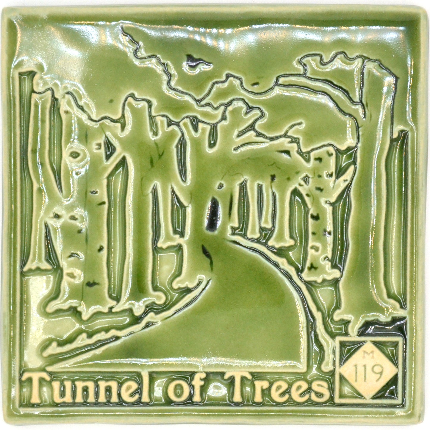 6x6 tunnel of trees green